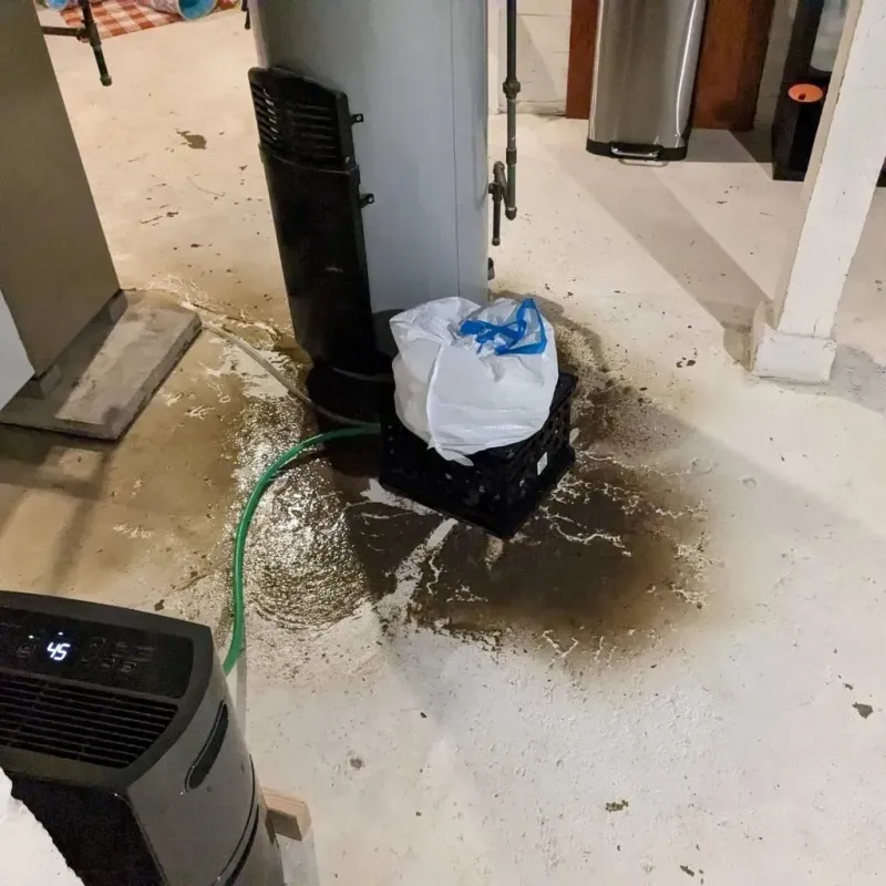 Sewage Backup Cleanup Service in Wrightsboro, NC